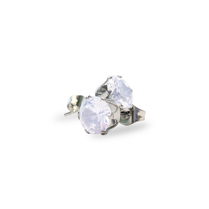 Stainless Steel Earrings