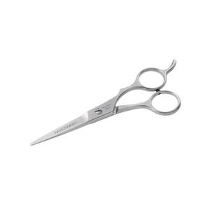 Stainless 2000 Styling Shears