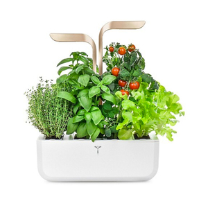 Moonlight Connect Gold Indoor Garden