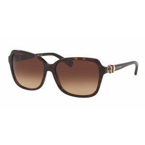 Women's HC8179 Square Sunglasses - Tortoise