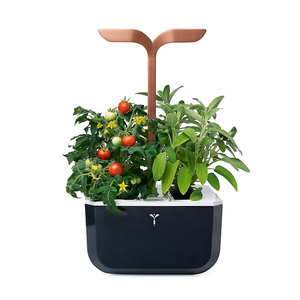 Exky Smart Copper Indoor Garden