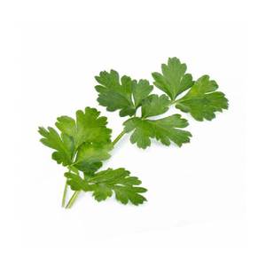 Lingot Flat Parsley Organic - Veritable Seeds