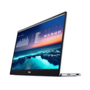 14 Portable Monitor - Silver