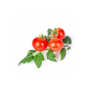 Lingot Red Cherry Tomato - Veritable Seeds