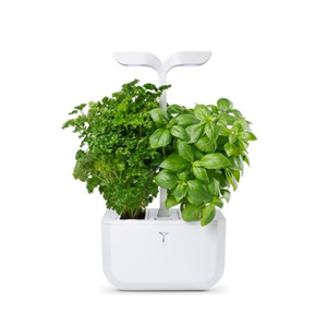 Exky Classic Indoor Garden
