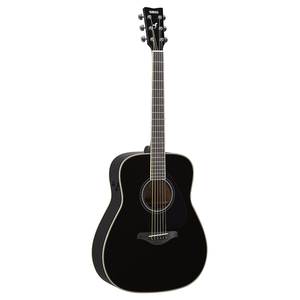TransAcoustic Guitar - Black